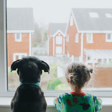 孩子和狗望着窗外